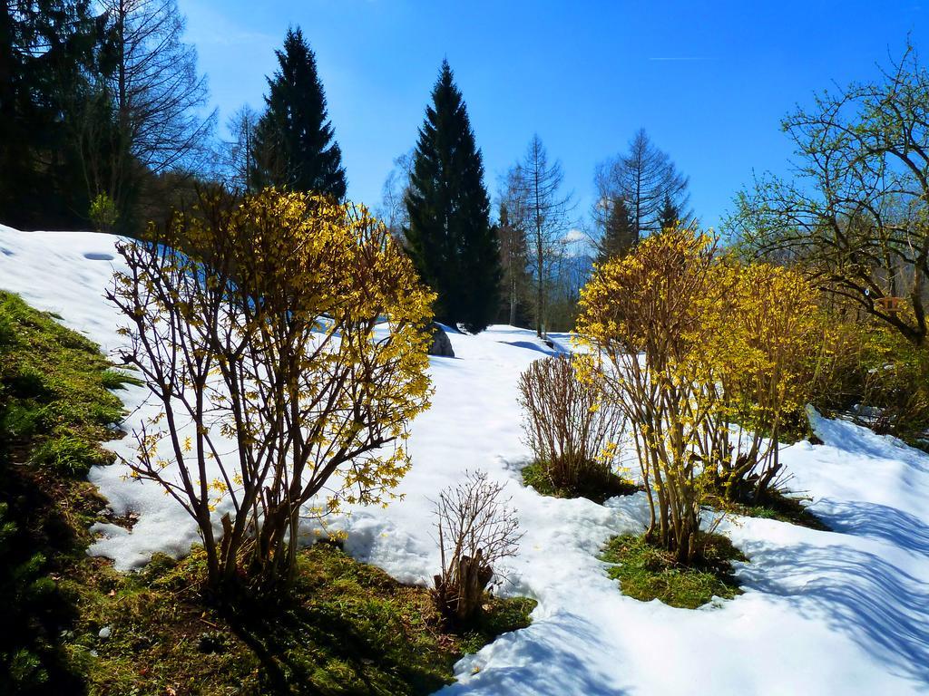 Romantikhotel Die Gersberg Alm Salisburgo Esterno foto